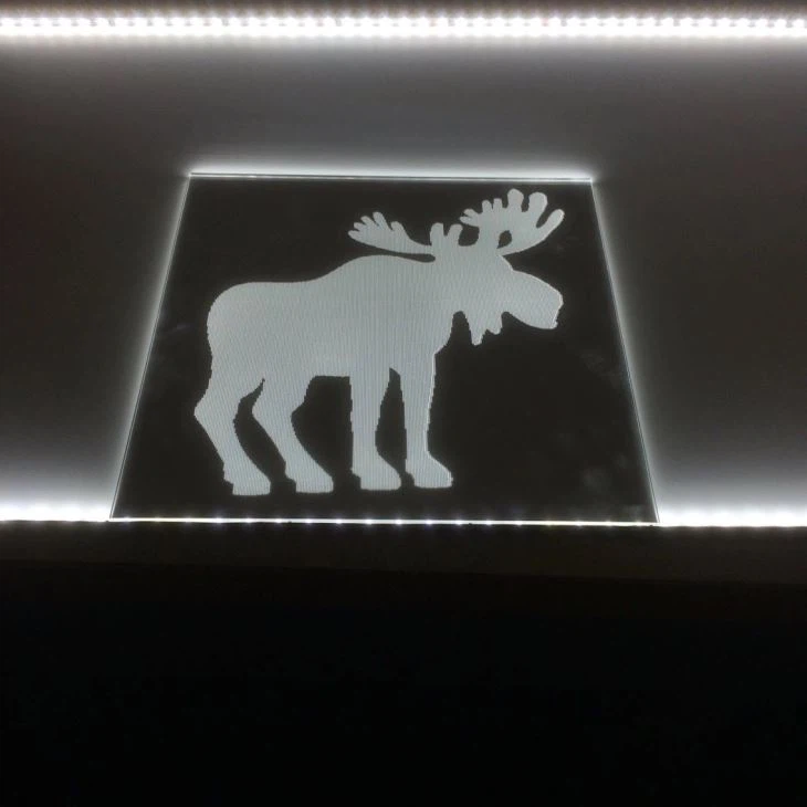 CO2 LGP Laser Dotting Machine On PMMA